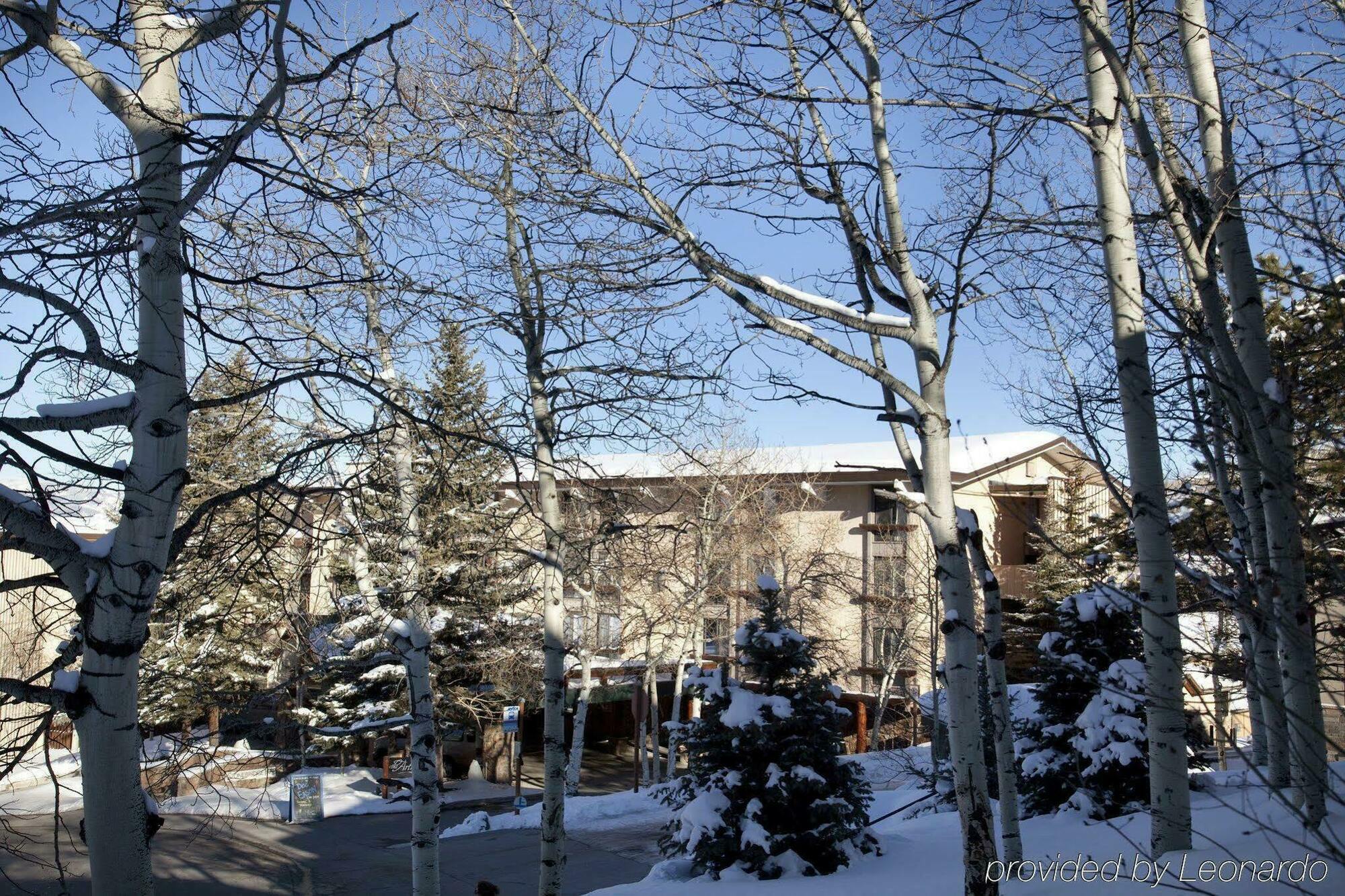 Tamarack Townhomes - Coraltree Residence Collection Snowmass Village Zewnętrze zdjęcie
